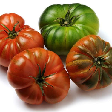 Costoluto Genovese Tomato Seeds - The Pepper Pantry (Formerly Marie Sharp's)